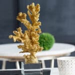 D6x13" Golden Coral Accent on Clear Base D6x13" Golden Coral Accent on Clear Base