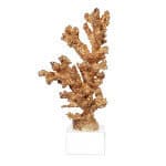 D6x13" Golden Coral Accent on Clear Base D6x13" Golden Coral Accent on Clear Base