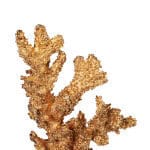 D6x13" Golden Coral Accent on Clear Base D6x13" Golden Coral Accent on Clear Base