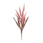 Foxtail Plume Stem (Set of 2) Foxtail Plume Stem (Set of 2)