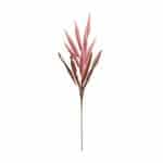 Foxtail Plume Stem (Set of 2) Foxtail Plume Stem (Set of 2)