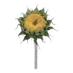 Yellow Sunflower Stem (Set of 6) Yellow Sunflower Stem (Set of 6)